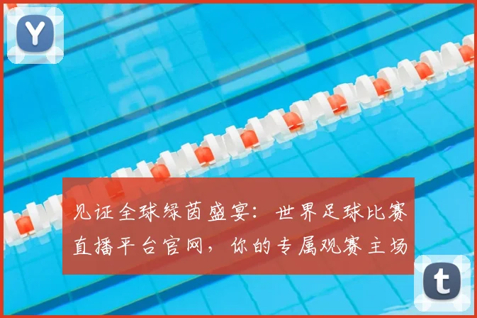 见证全球绿茵盛宴：世界足球比赛直播平台官网，你的专属观赛主场
