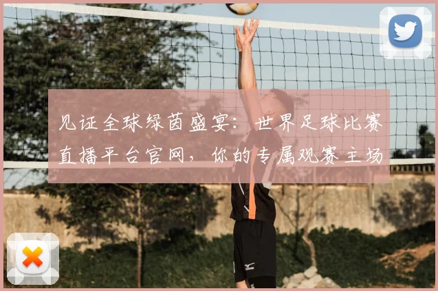 见证全球绿茵盛宴：世界足球比赛直播平台官网，你的专属观赛主场